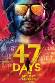47 Days – The Mystery Unfolds