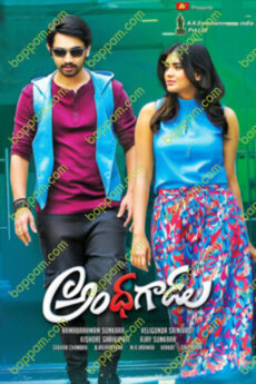 Andhhagadu