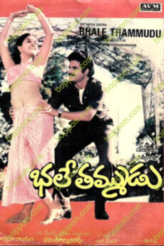 Bhale Thammudu