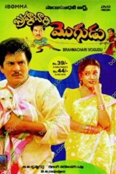 Brahmachari Mogudu