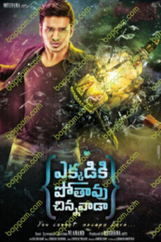 Ekkadiki Pothavu Chinnavada