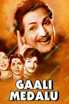 Gaali Medalu