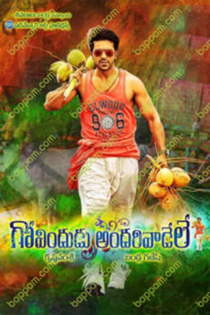 Govindudu Andarivadele