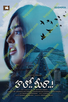 Hello Meera