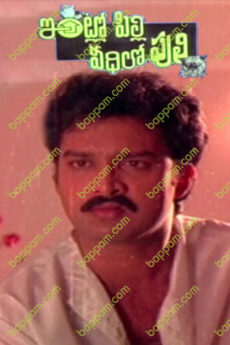 Intlo Pilli Veedhilo Puli