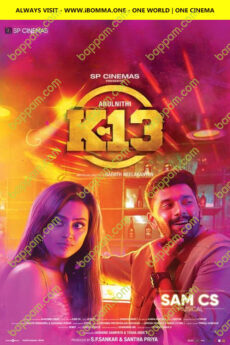 K 13