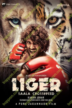 Liger
