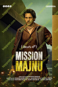 Mission Majnu