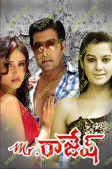 Mr. Rajesh