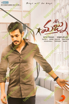 Mr Majnu