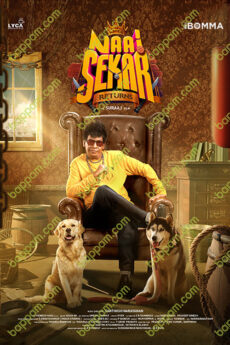 Naai Sekar Returns