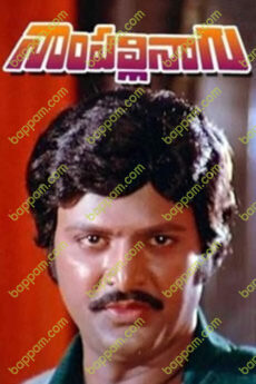 Nampalli Nagu