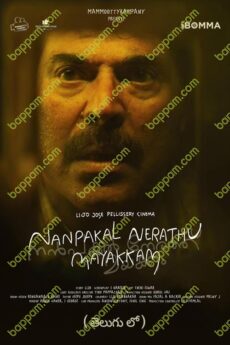 Nanpakal Nerathu Mayakkam