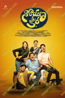Narayana & Co