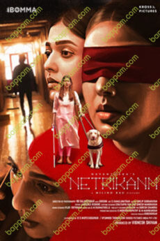 Netrikann