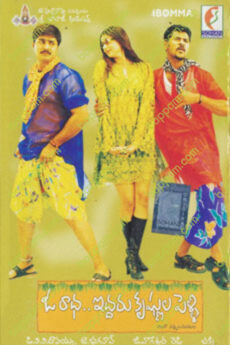 Oka Radha Iddaru Krishnula Pelli