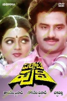 Palnaati Puli