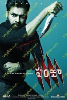 Panjaa