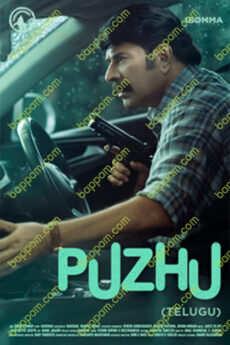 Puzhu