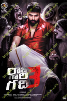 Raju Gari Gadhi 3