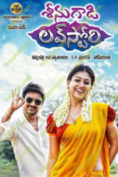 Seenugadi Love Story