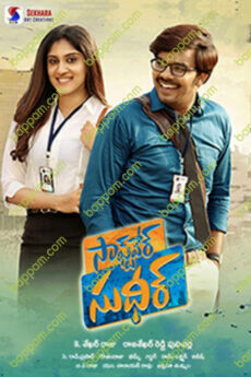 Software Sudheer