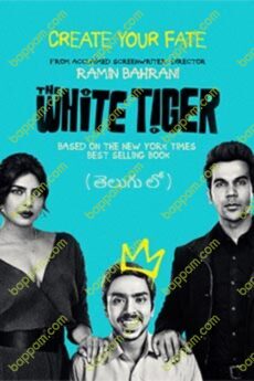 The White Tiger