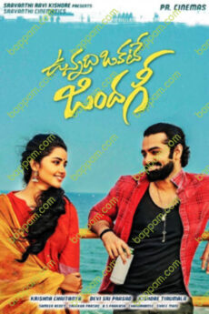 Vunnadhi Okate Zindagi