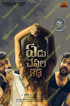 Yedu Chepala Katha