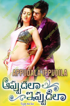 Appudala Ippudila