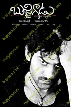 Bujjigadu