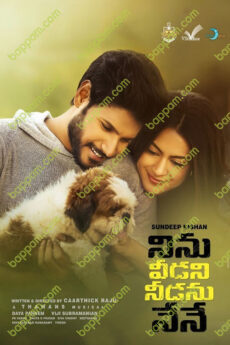 Ninu Veedani Needanu Nene