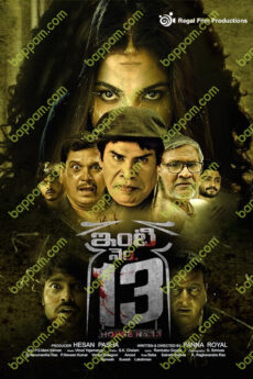 Inti Number 13