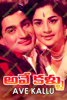 Avey Kallu